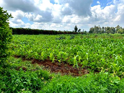 Prime Residential 1 Acre Land in Rironi Near Tilisi Estate - Image 3
