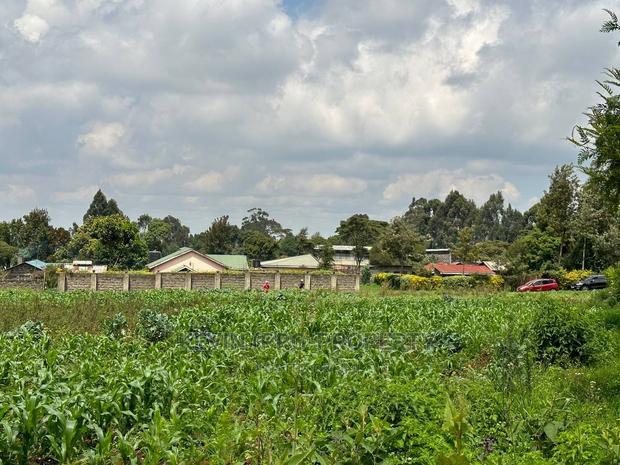 Prime Residential 1 Acre Land in Rironi Near Tilisi Estate