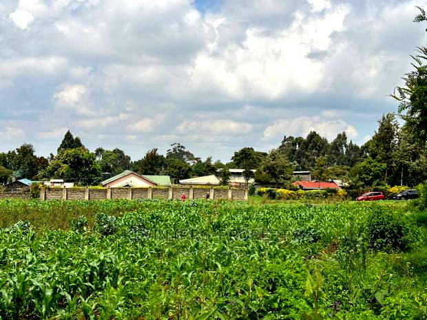 Prime Residential 1 Acre Land in Rironi Near Tilisi Estate