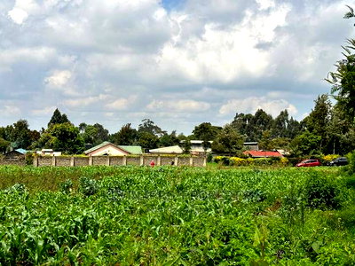 Prime Residential 1 Acre Land in Rironi Near Tilisi Estate - Image 1