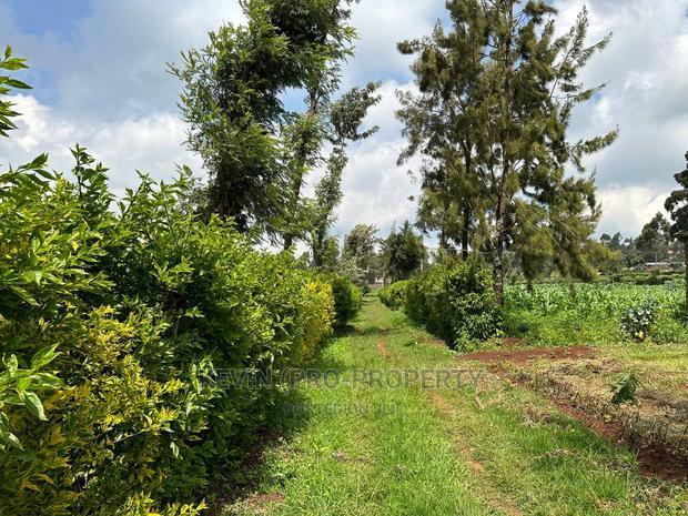 Prime Residential 1 Acre Land in Rironi Near Tilisi Estate
