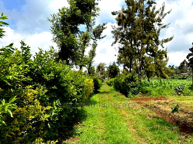 Prime Residential 1 Acre Land in Rironi Near Tilisi Estate