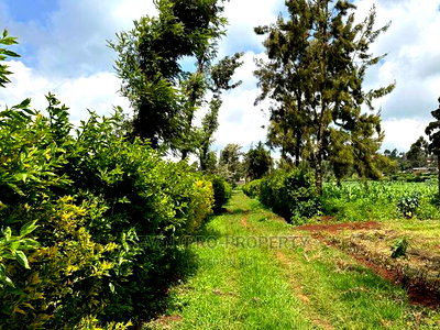 Prime Residential 1 Acre Land in Rironi Near Tilisi Estate - Image 5