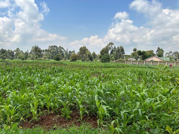 Prime Residential 1 Acre Land in Rironi Near Tilisi Estate