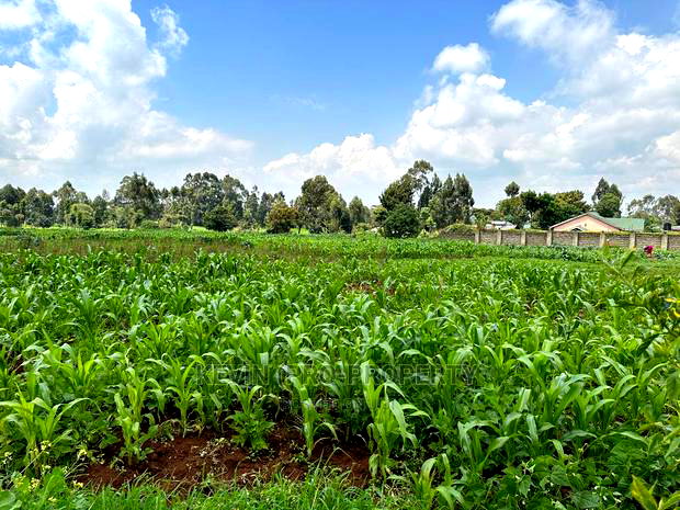 Prime Residential 1 Acre Land in Rironi Near Tilisi Estate