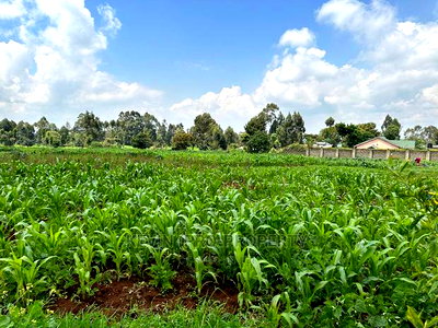 Prime Residential 1 Acre Land in Rironi Near Tilisi Estate - Image 2