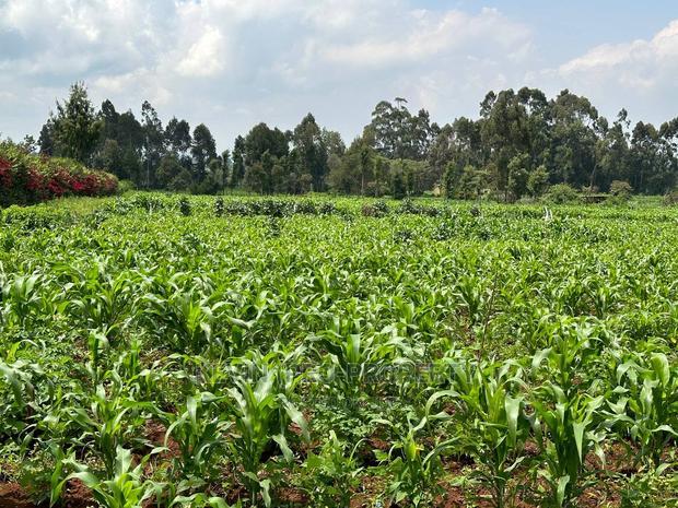 Prime Residential 1 Acre Land in Rironi Near Tilisi Estate