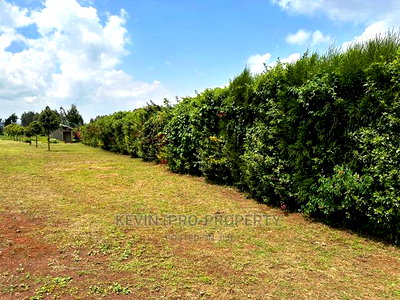 Prime Residential 1 Acre Land in Rironi Near Tilisi Estate - Image 7