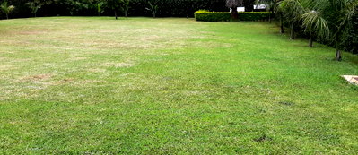 Half Acre Lavington Gem at KSh 130M