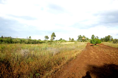 Prime Plots for Sale in Kikuyu Nachu, Mbomboine - Image 3
