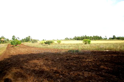 Prime Plots for Sale in Kikuyu Nachu, Mbomboine - Image 2