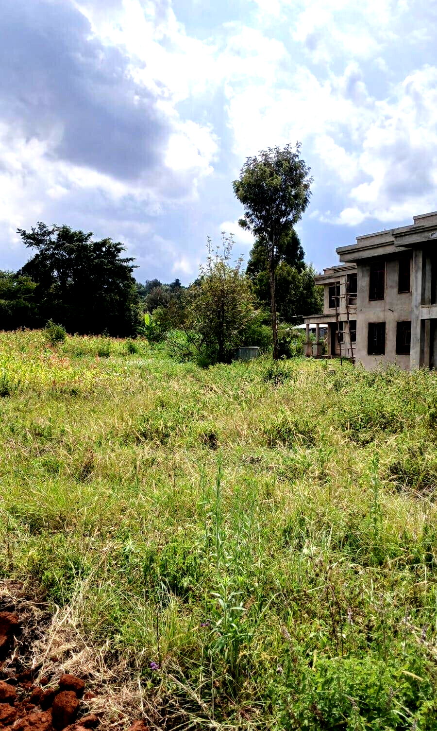 50x100 Plot in Ngong CBD at KSh 5M