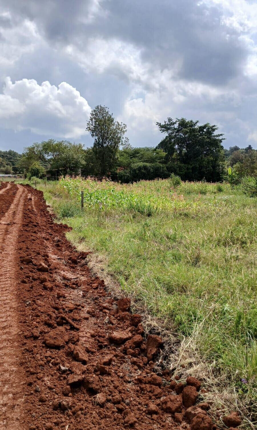 50x100 Plot in Ngong CBD at KSh 5M