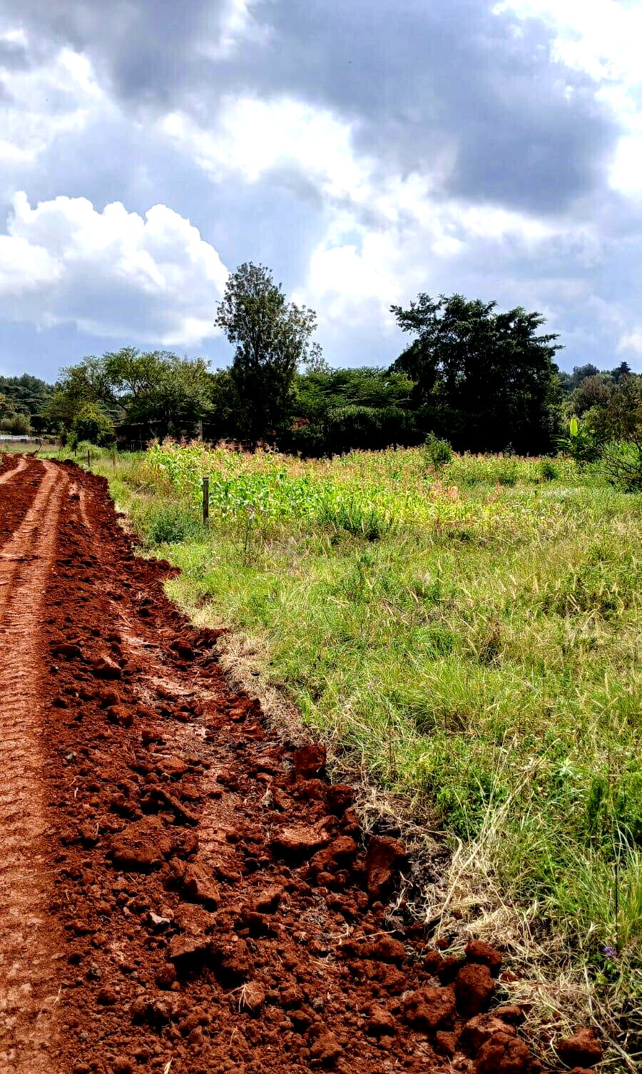 50x100 Plot in Ngong CBD at KSh 5M