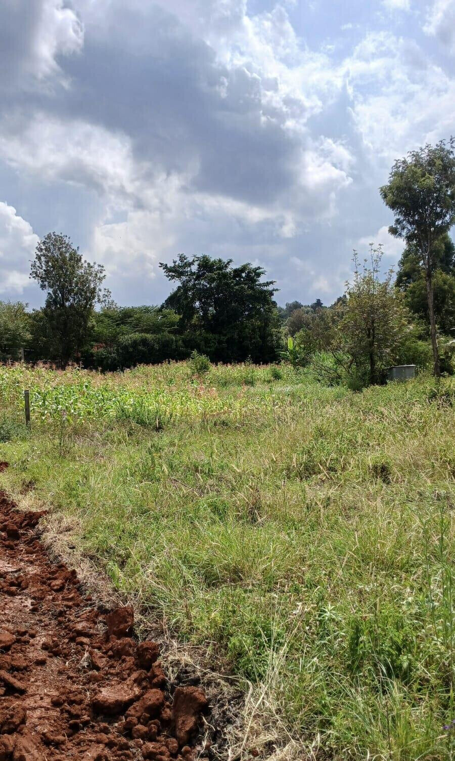 50x100 Plot in Ngong CBD at KSh 5M