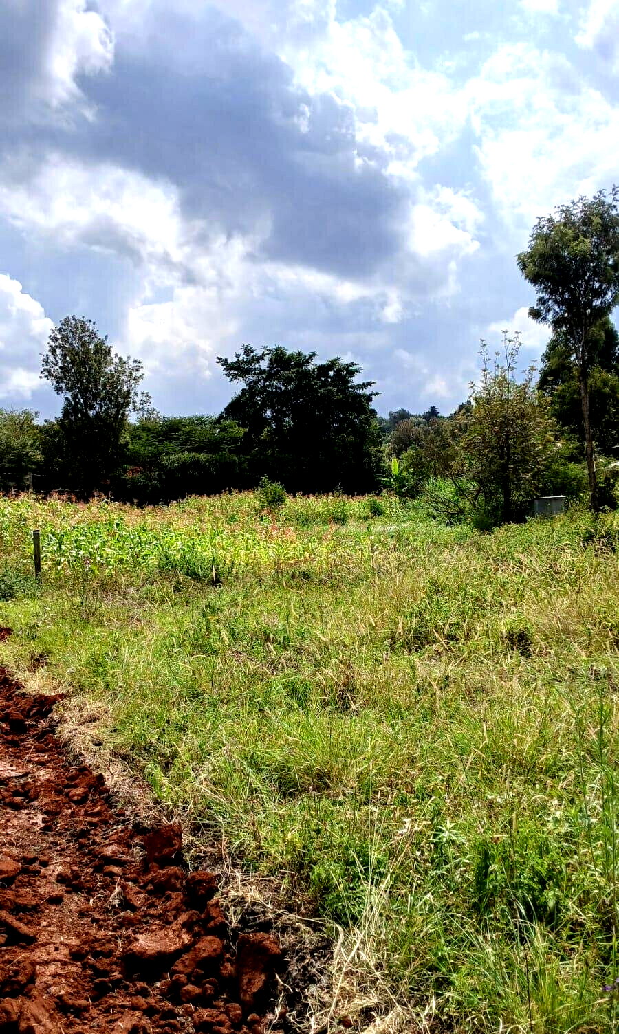 50x100 Plot in Ngong CBD at KSh 5M