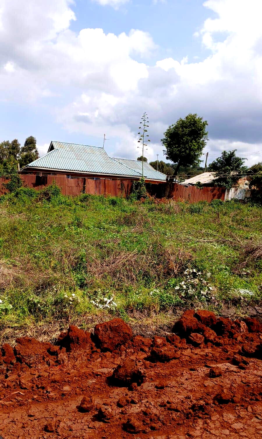 50x100 Plot in Ngong CBD at KSh 5M