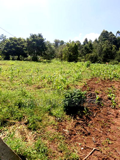 One Acre Kerarapon - Image 2