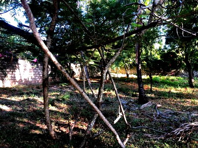 1/4 an Acre Land in Watamu - Image 3