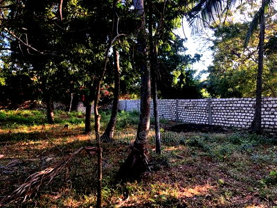 1/4 an Acre Land in Watamu - Image 5