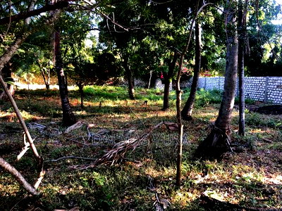 1/4 an Acre Land in Watamu - Image 4