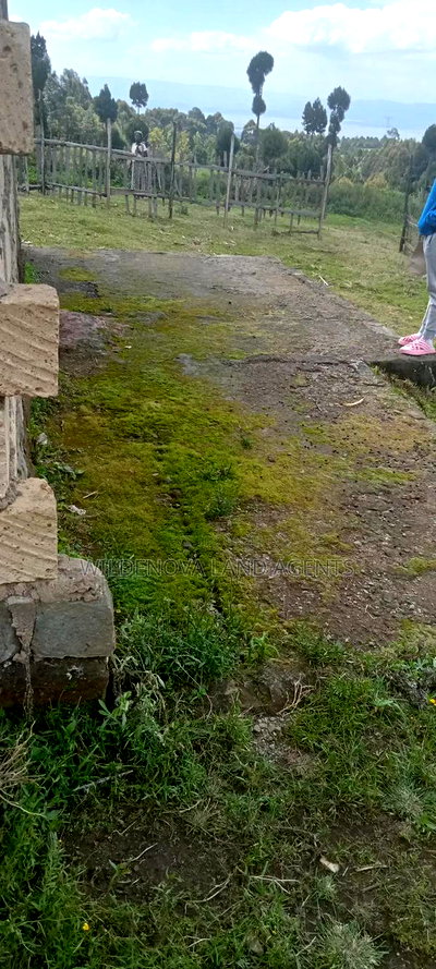 Plot on Sale at Kinungi Naivasha - Image 6