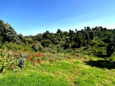 2.5 Acres Residential/ Commercial Property - Image 9