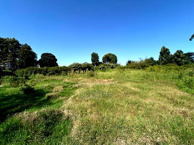 2.5 Acres Residential/ Commercial Property - Image 5