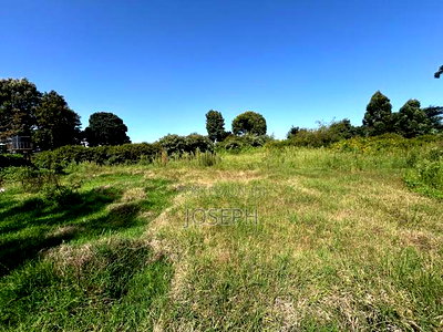 2.5 Acres Residential/ Commercial Property - Image 11