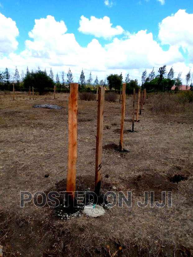 Commercial Plots 500 Meters Off the Road