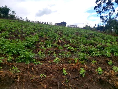 Land on Sale at Turasha Ririshua Kinangop - Image 5