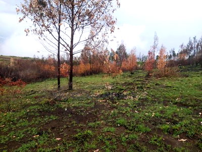 Land on Sale at Turasha Ririshua Kinangop - Image 7