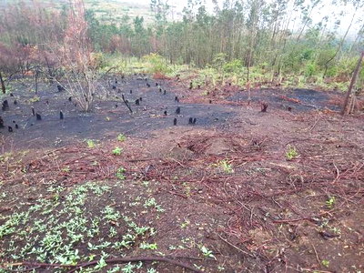 Land on Sale at Turasha Ririshua Kinangop - Image 8