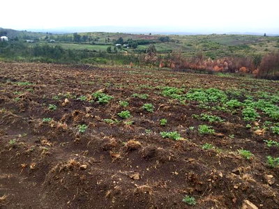 Land on Sale at Turasha Ririshua Kinangop - Image 4