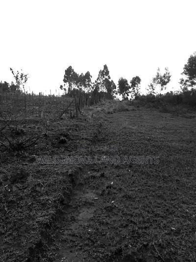 Land on Sale at Turasha Ririshua Kinangop - Image 1