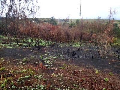 Land on Sale at Turasha Ririshua Kinangop - Image 2