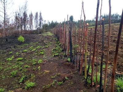 Land on Sale at Turasha Ririshua Kinangop - Image 3