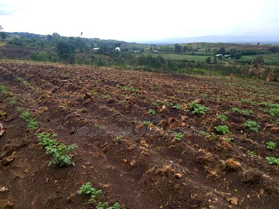 Land on Sale at Turasha Ririshua Kinangop - Image 9
