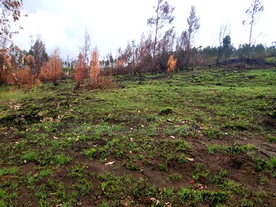 Land on Sale at Turasha Ririshua Kinangop - Image 10