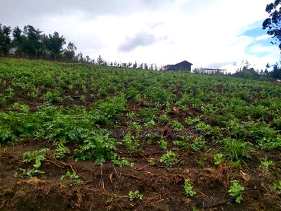 Land on Sale at Turasha Ririshua Kinangop - Image 6