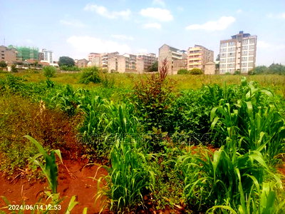 Kasarani Seasons - Image 1