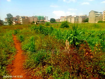 Kasarani Seasons - Image 4