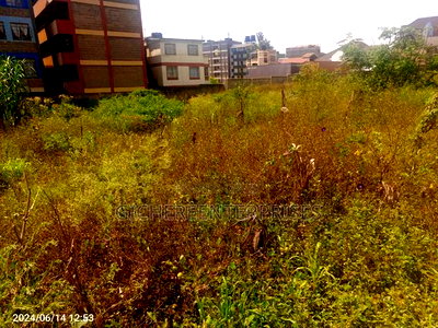 Kasarani Seasons - Image 5