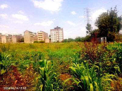 Kasarani Seasons - Image 2