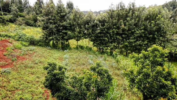 Prime 1/2 Acre Kahara,Ngong at 15m
