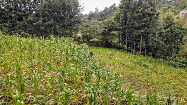 Prime 1/2 Acre Kahara,Ngong at 15m