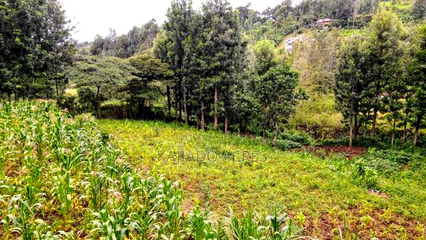 Prime 1/2 Acre Kahara,Ngong at 15m