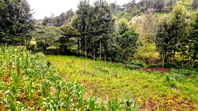 Prime 1/2 Acre Kahara,Ngong at 15m - Image 3
