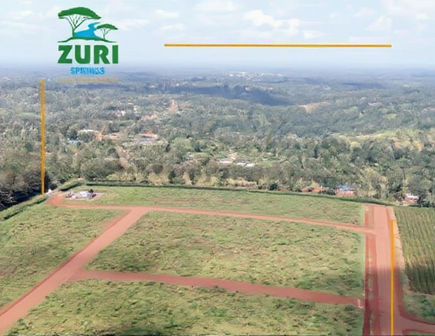 Invest In Zuri Springs, Juja!
