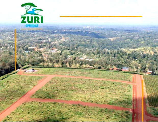 Invest In Zuri Springs, Juja!